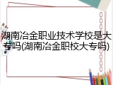 湖南冶金职业技术学校是大专吗(湖南冶金职校大专吗)