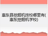 惠东县挖掘机技校哪里有(惠东挖掘机学校)