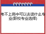 考不上高中可以去读什么专业(职校专业选择)