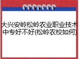 大兴安岭松岭农业职业技术中专好不好(松岭农校如何)