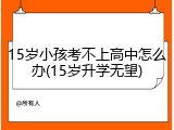 15岁小孩考不上高中怎么办(15岁升学无望)