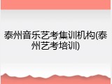 泰州音乐艺考集训机构(泰州艺考培训)