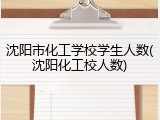 沈阳市化工学校学生人数(沈阳化工校人数)