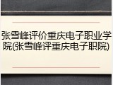 张雪峰评价重庆电子职业学院(张雪峰评重庆电子职院)