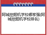 阿城挖掘机学校哪家强(阿城挖掘机学校排名)