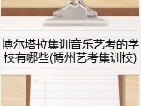 博尔塔拉集训音乐艺考的学校有哪些(博州艺考集训校)