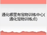 通化哪里有宠物训练中心(通化宠物训练点)