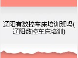 辽阳有数控车床培训班吗(辽阳数控车床培训)