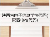 陕西省电子信息学校代码(陕西电校代码)