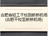 合肥省轻工干校到新桥机场(合肥干校至新桥机场)