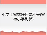 小学上寄宿好还是不好(寄宿小学利弊)