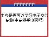 中专是否可以学习电子商务专业(中专能学电商吗)