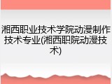 湘西职业技术学院动漫制作技术专业(湘西职院动漫技术)