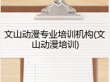 文山动漫专业培训机构(文山动漫培训)