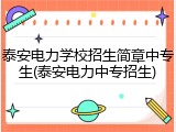 泰安电力学校招生简章中专生(泰安电力中专招生)