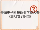 贵阳电子科技职业学校大专(贵阳电子职校)