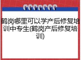 鹤岗哪里可以学产后修复培训中专生(鹤岗产后修复培训)