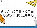武汉第二轻工业学校是高中吗(武汉二轻校是高中吗)