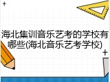 海北集训音乐艺考的学校有哪些(海北音乐艺考学校)