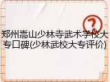 郑州嵩山少林寺武术学校大专口碑(少林武校大专评价)