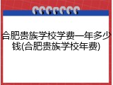 合肥贵族学校学费一年多少钱(合肥贵族学校年费)