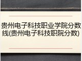 贵州电子科技职业学院分数线(贵州电子科技职院分数)