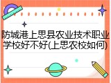 防城港上思县农业技术职业学校好不好(上思农校如何)