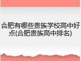 合肥有哪些贵族学校高中好点(合肥贵族高中排名)
