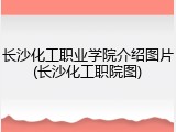 长沙化工职业学院介绍图片(长沙化工职院图)