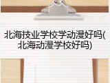 北海技业学校学动漫好吗(北海动漫学校好吗)