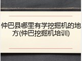 仲巴县哪里有学挖掘机的地方(仲巴挖掘机培训)