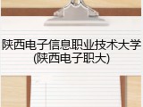 陕西电子信息职业技术大学(陕西电子职大)