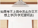 如果考不上高中怎么办又不想上学(升学无望何去)