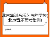 北京集训音乐艺考的学校(北京音乐艺考集训)