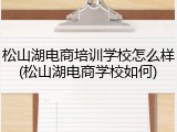 松山湖电商培训学校怎么样(松山湖电商学校如何)