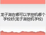 龙子湖在哪可以学挖机哪个学校好(龙子湖挖机学校)