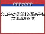 文山学动漫设计的职高学校(文山动漫职校)