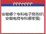 安徽哪个专科电子商务好(安徽电商专科哪家强)