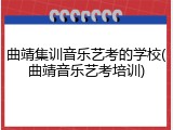 曲靖集训音乐艺考的学校(曲靖音乐艺考培训)