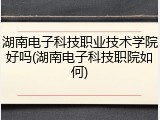 湖南电子科技职业技术学院好吗(湖南电子科技职院如何)
