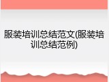 服装培训总结范文(服装培训总结范例)