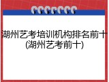 湖州艺考培训机构排名前十(湖州艺考前十)