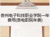 贵州电子科技职业学院一年费用(贵电职院年费)
