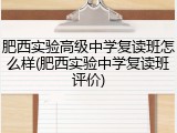 肥西实验高级中学复读班怎么样(肥西实验中学复读班评价)