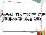 大理巍山有没有数控机床培训学校(巍山数控培训)