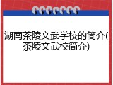 湖南茶陵文武学校的简介(茶陵文武校简介)
