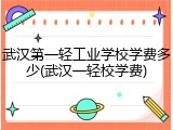 武汉第一轻工业学校学费多少(武汉一轻校学费)