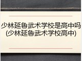 少林延鲁武术学校是高中吗(少林延鲁武术学校高中)