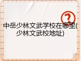 中岳少林文武学校在哪里(少林文武校地址)