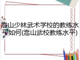 嵩山少林武术学校的教练水平如何(嵩山武校教练水平)